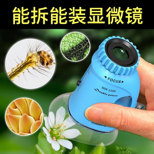 小小科学家的大世界 儿童便携式显微镜玩具选购与使用指南